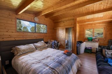 Lifestyle For Sale - NSW - Rocky River - 2372 - THE STATION- ROCKY RIVER  (Image 2)
