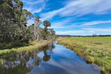 Acreage/Semi-rural For Sale - NSW - Paddys River - 2577 - Large Scale Southern Highlands Farm  (Image 2)