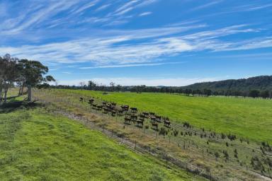 Acreage/Semi-rural For Sale - NSW - Paddys River - 2577 - Large Scale Southern Highlands Farm  (Image 2)