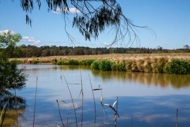 Acreage/Semi-rural For Sale - NSW - Bowral - 2576 - Natural Beauty & Country Lifestyle on the River  (Image 2)