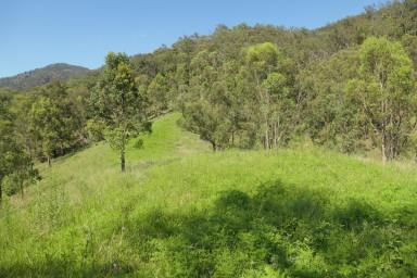 Lifestyle Sold - NSW - Rocky River - 2372 - TAKE A DEEP BREATH  (Image 2)