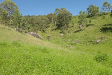 Lifestyle For Sale - NSW - Rocky River - 2372 - TAKE A DEEP BREATH  (Image 2)