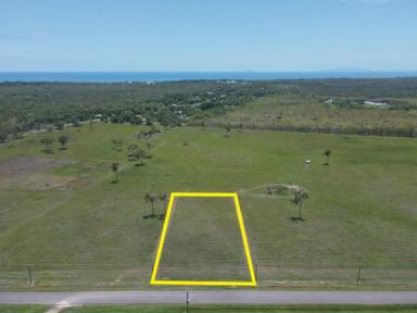 Residential Block For Sale - QLD - Balgal Beach - 4816 - 4,450 SQ.M. (OVER 1 ACRE) BLOCK IN MOUNTAIN VIEW ESTATE!  (Image 2)