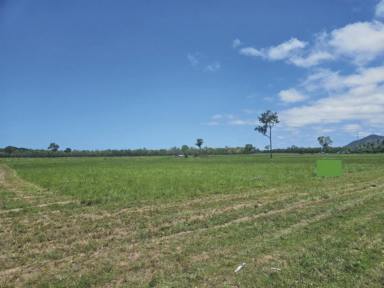 Residential Block For Sale - QLD - Balgal Beach - 4816 - 4,450 SQ.M. (OVER 1 ACRE) BLOCK IN MOUNTAIN VIEW ESTATE!  (Image 2)