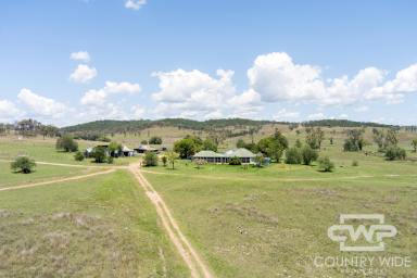 Livestock For Sale - NSW - Bonshaw - 2361 - "Applewood" Grazing Property with Prime River Frontage  (Image 2)