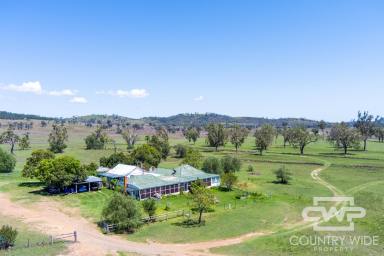 Livestock For Sale - NSW - Bonshaw - 2361 - "Applewood" Grazing Property with Prime River Frontage  (Image 2)