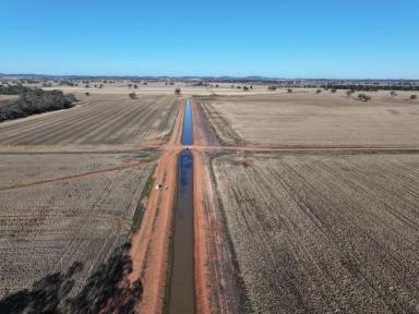 Cropping For Sale - NSW - Forbes - 2871 - Development Opportunity In Nascent Cotton Valley  (Image 2)