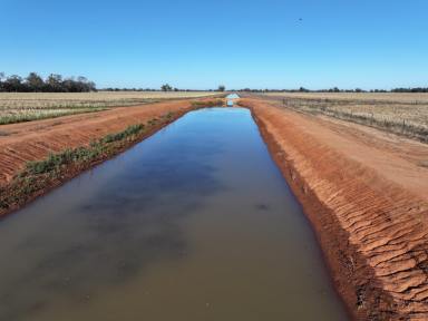 Cropping For Sale - NSW - Forbes - 2871 - Development Opportunity In Nascent Cotton Valley  (Image 2)