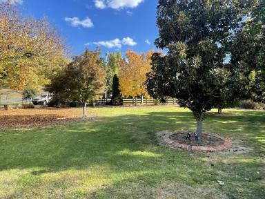 House For Sale - NSW - Gundagai - 2722 - Town living in a rural setting  (Image 2)