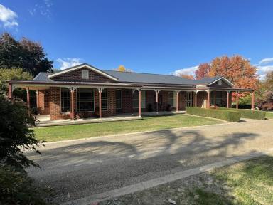 House For Sale - NSW - Gundagai - 2722 - Town living in a rural setting  (Image 2)