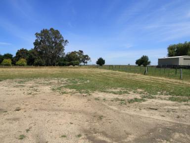 Residential Block For Sale - VIC - East Bairnsdale - 3875 - SPACIOUS, LEVEL ALLOTMENT.  (Image 2)