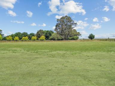 Residential Block For Sale - VIC - East Bairnsdale - 3875 - SPACIOUS, LEVEL ALLOTMENT.  (Image 2)