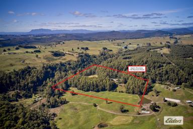 Lifestyle For Sale - TAS - Gunns Plains - 7315 - "TOWERING GUMS" - 9.39 HECTARES (23.1 acres)  (Image 2)