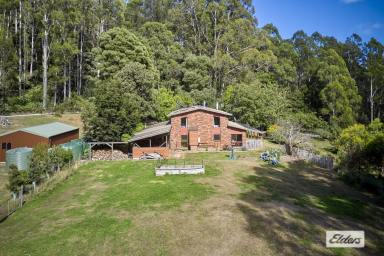 Lifestyle For Sale - TAS - Gunns Plains - 7315 - "TOWERING GUMS" - 9.39 HECTARES (23.1 acres)  (Image 2)