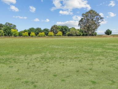 Residential Block For Sale - VIC - East Bairnsdale - 3875 - SPACIOUS, LEVEL ALLOTMENT.  (Image 2)