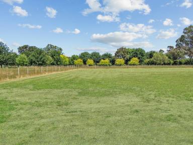 Residential Block For Sale - VIC - East Bairnsdale - 3875 - SPACIOUS, LEVEL ALLOTMENT.  (Image 2)