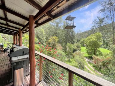 Acreage/Semi-rural For Sale - NSW - Laguna - 2325 - 'Girraween' - Character Home in a Natural Paradise  (Image 2)