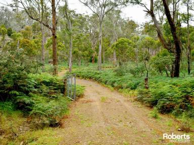 Residential Block For Sale - TAS - Hamilton - 7140 - A Rare Conservation & Lifestyle Opportunity - Approx. 100 Acres Near Hobart  (Image 2)
