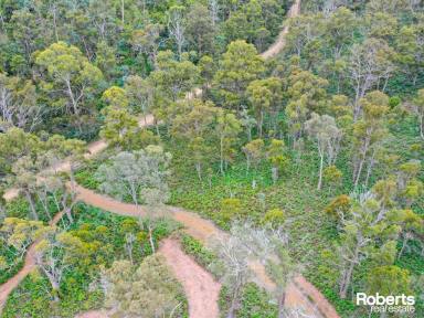 Residential Block For Sale - TAS - Hamilton - 7140 - A Rare Conservation & Lifestyle Opportunity - Approx. 100 Acres Near Hobart  (Image 2)