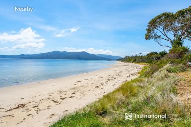 Residential Block For Sale - TAS - Alonnah - 7150 - Rare Opportunity: Land with Expansive Water Views  (Image 2)