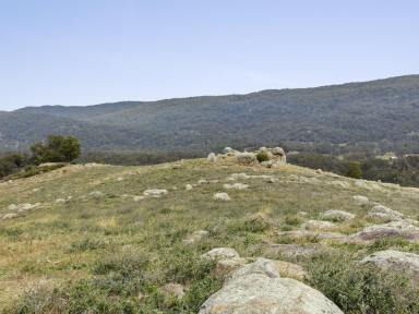 Lifestyle For Sale - VIC - Trawool - 3660 - OWN A MOUNTAIN IN TRAWOOL - 776 Acres approx.  (Image 2)