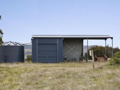 Lifestyle For Sale - VIC - Trawool - 3660 - OWN A MOUNTAIN IN TRAWOOL - 776 Acres approx.  (Image 2)