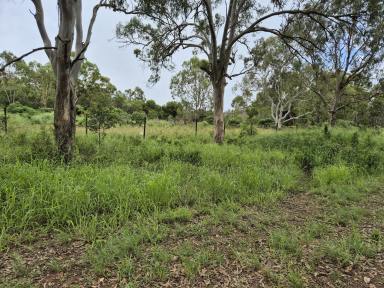 Residential Block For Sale - QLD - Yarraman - 4614 - Two Deeds on Blocks Close to Town  (Image 2)