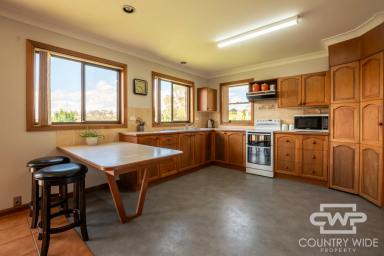 House For Sale - NSW - Glen Innes - 2370 - Family Home With Breathtaking Views  (Image 2)