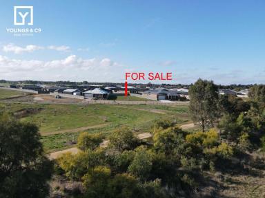 Residential Block For Sale - VIC - Mooroopna - 3629 - Open Reserve Outlook - Huge 1,001m2 Block  (Image 2)