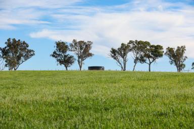 Acreage/Semi-rural For Sale - NSW - Paddys River - 2577 - Large Scale Southern Highlands Farm  (Image 2)