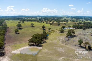 Mixed Farming For Sale - NSW - Emmaville - 2371 - "‘Deloraine’ – A Practical Grazing Property with Solid Infrastructure and Reliable Water"  (Image 2)