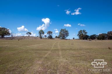 Mixed Farming For Sale - NSW - Emmaville - 2371 - "‘Deloraine’ – A Practical Grazing Property with Solid Infrastructure and Reliable Water"  (Image 2)