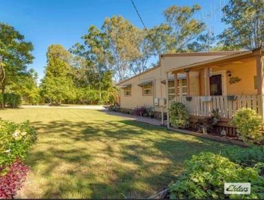 House For Lease - QLD - Glenwood - 4570 - COUNTRY LIVING AT ITS BEST  (Image 2)