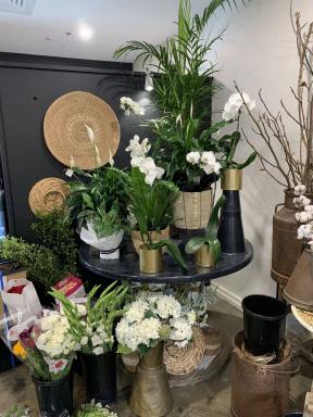 Business Sold - QLD - Noosaville - 4566 - Iconic profitable Gift and Florist business in great location.  (Image 2)