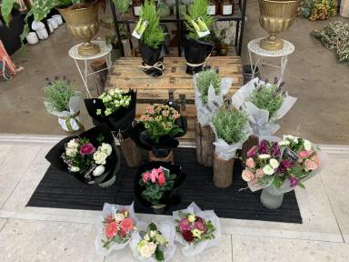 Business For Sale - QLD - Noosaville - 4566 - Iconic profitable Gift and Florist business in great location.  (Image 2)