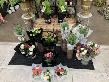 Business Sold - QLD - Noosaville - 4566 - Iconic profitable Gift and Florist business in great location.  (Image 2)