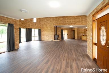 House For Lease - NSW - Rowan - 2650 - RURAL LIVING IN ROWAN  (Image 2)