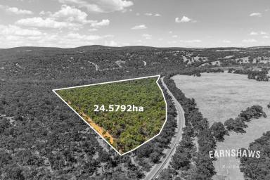 Residential Block For Sale - WA - Gidgegannup - 6083 - More Than Land - It's A Dream  (Image 2)