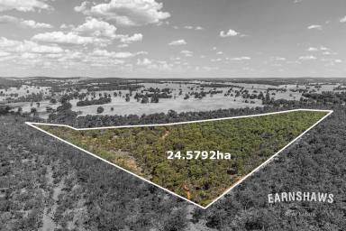 Residential Block For Sale - WA - Gidgegannup - 6083 - More Than Land - It's A Dream  (Image 2)