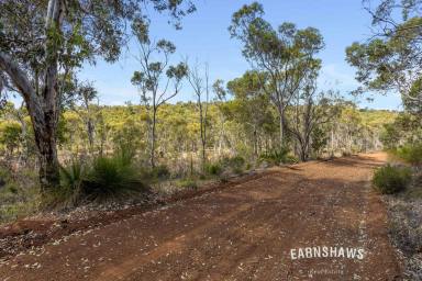 Residential Block For Sale - WA - Gidgegannup - 6083 - More Than Land - It's A Dream  (Image 2)