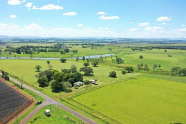 Mixed Farming For Sale - NSW - Casino - 2470 - “FAIRY HILL STATION” NORTH COAST OF NSW (Image 2)