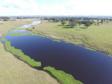 Mixed Farming For Sale - NSW - Fairy Hill - 2470 - “Fairy Hill Station” North Coast Of NSW  (Image 2)