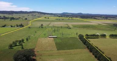 Mixed Farming For Sale - NSW - Fairy Hill - 2470 - “Fairy Hill Station” North Coast Of NSW  (Image 2)