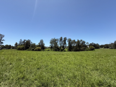 Other (Rural) For Sale - NSW - South Grafton - 2460 - 6600 sqm FARM OR INDUSTRIAL USE LAND IN TOWN  (Image 2)