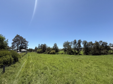 Other (Rural) For Sale - NSW - South Grafton - 2460 - 6600 sqm FARM OR INDUSTRIAL USE LAND IN TOWN  (Image 2)