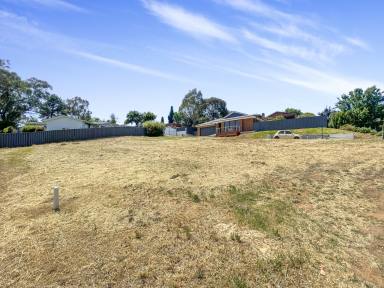 Residential Block For Sale - NSW - Tumut - 2720 - Vacant Land!  (Image 2)