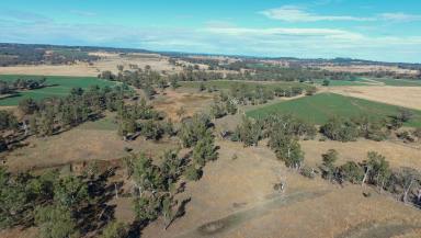 Mixed Farming For Sale - NSW - Rob Roy - 2360 - Clifton  (Image 2)