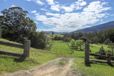 Lifestyle For Sale - NSW - Dungog - 2420 - Escape to your rural riverfront paradise.  (Image 2)