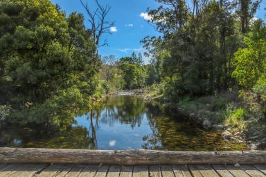 Lifestyle For Sale - NSW - Dungog - 2420 - Escape to your rural riverfront paradise.  (Image 2)