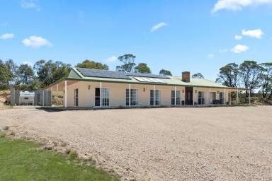 Lifestyle For Sale - NSW - Tarago - 2580 - Your Country Escape Awaits  (Image 2)